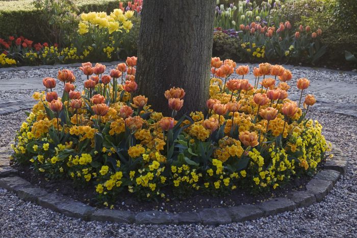 Best flowers to plant around trees